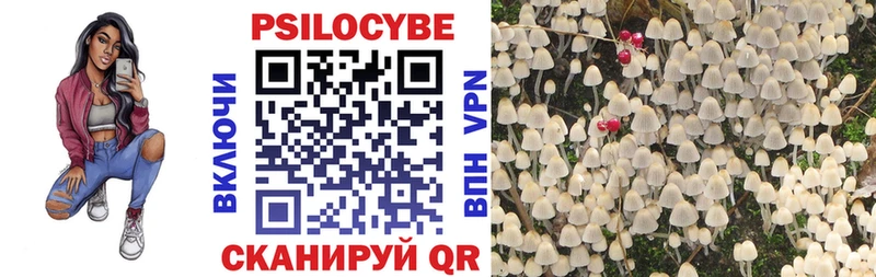 Псилоцибиновые грибы Cubensis  наркошоп  Белокуриха 
